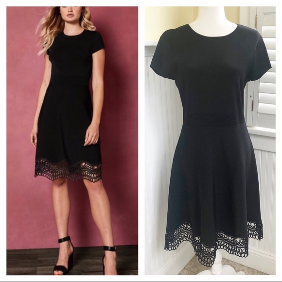Ted Baker London Dresses & Skirts - Ted Baker Black Ellijo Lace Trim Knit Skater Dress